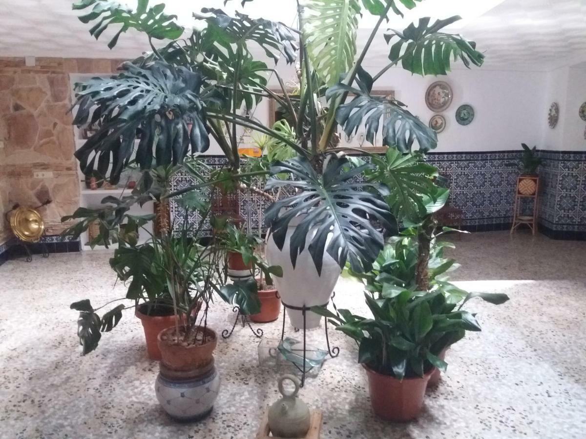 Casa Labradora Apartman Herencia Kültér fotó